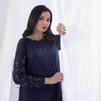 Blue Embroidered 2 PCs Dress