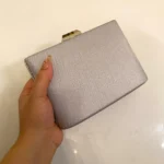 Silver Clutch For Her-Cl-119